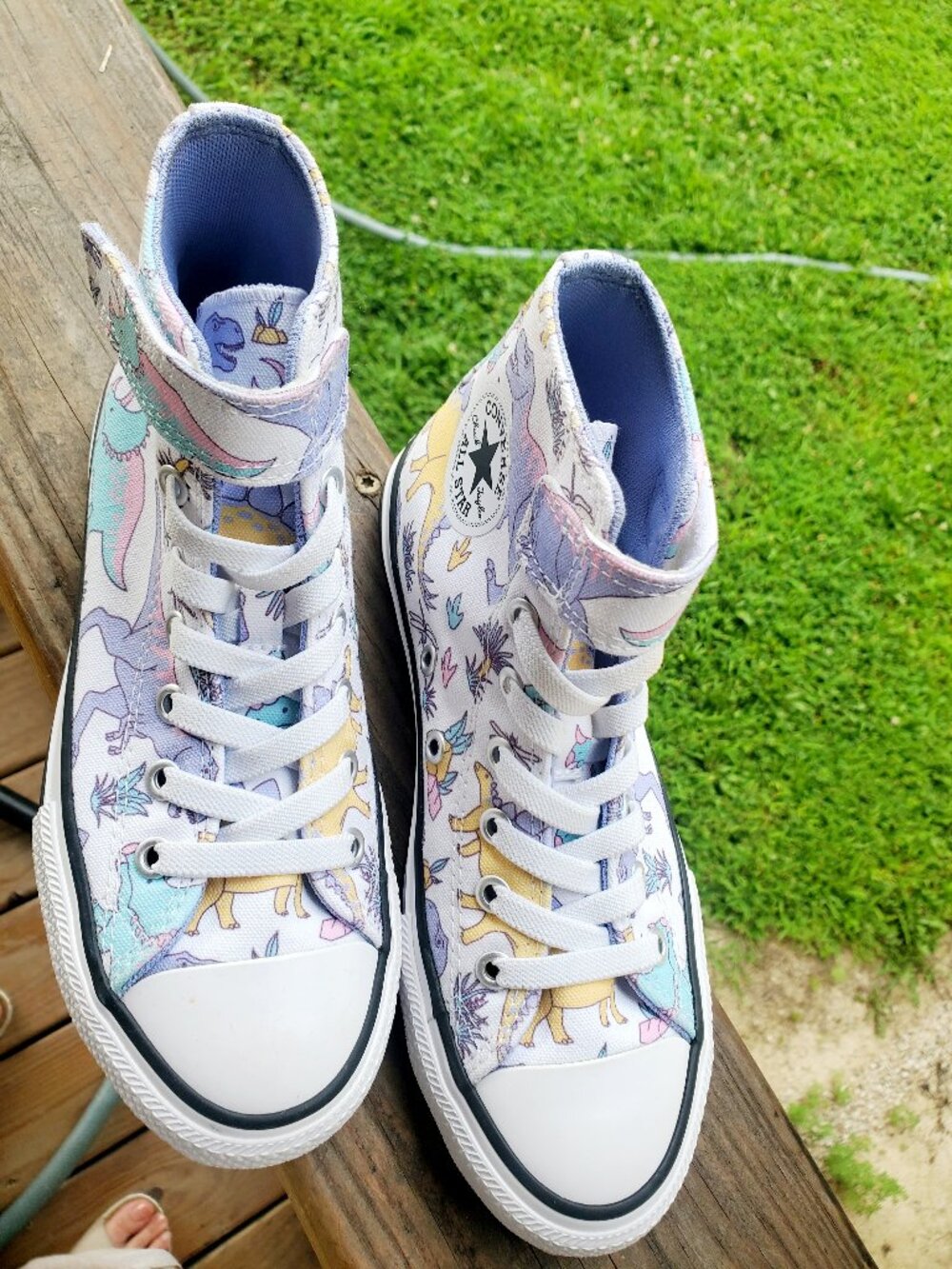 Converse Dinoverse